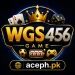 WGS456 Game Download