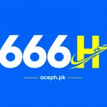 666H Game